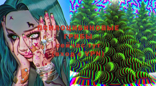 дмт Балахна