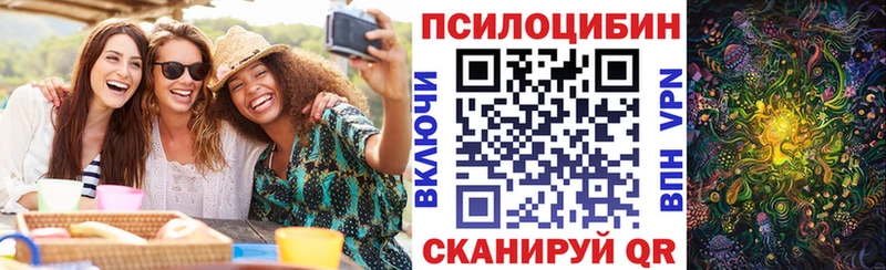 blacksprut ссылка  Льгов  Псилоцибиновые грибы Psilocybe 